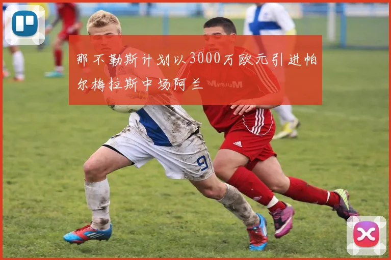 那不勒斯计划以3000万欧元引进帕尔梅拉斯中场阿兰