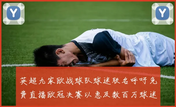 英超九家欧战球队球迷联名呼吁免费直播欧冠决赛以惠及数百万球迷